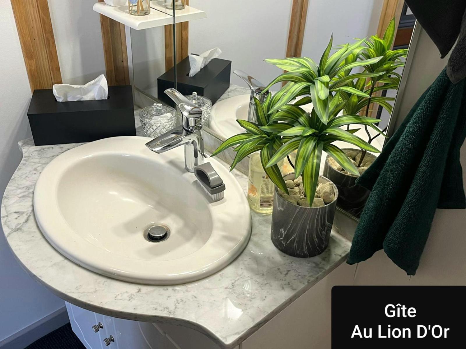Au Lion D'Or Apartment Les Roches-l'Eveque ภายนอก รูปภาพ